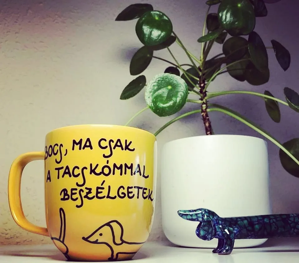 Tacsi bögre