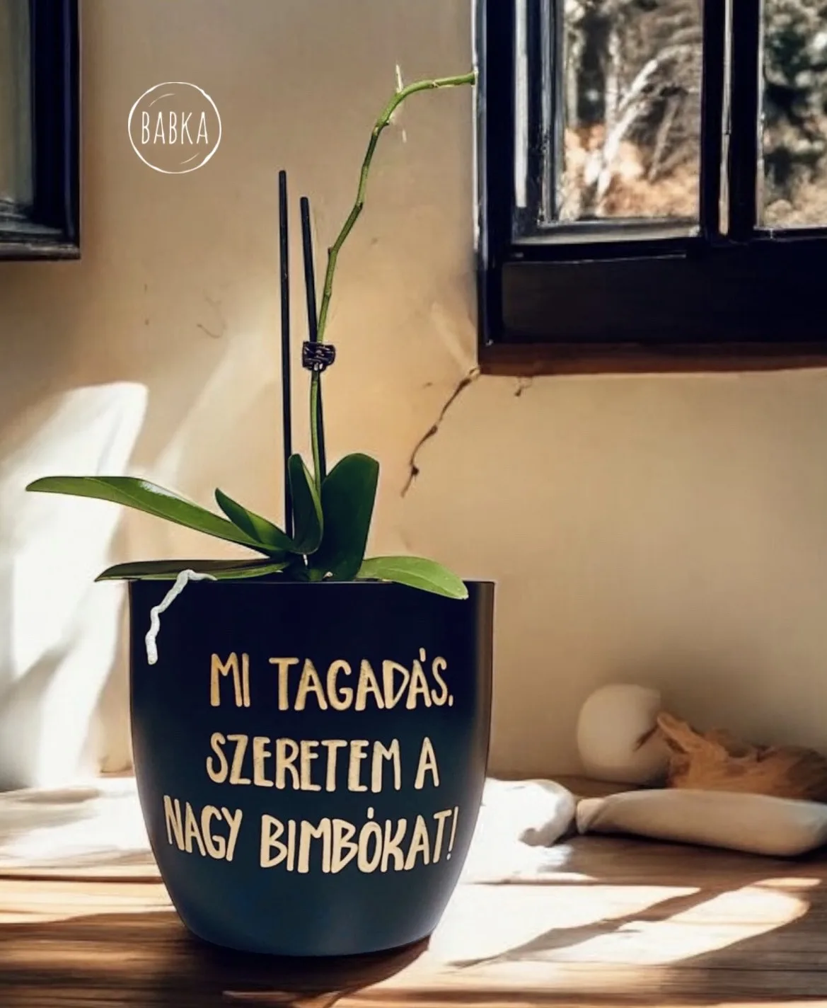 Szeretem a nagy bimbókat! (kaspó)