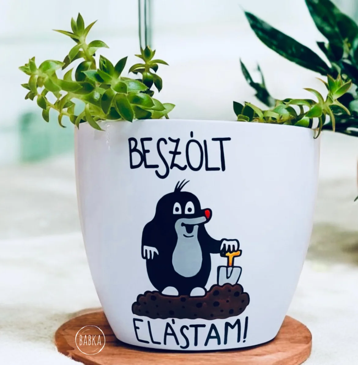 Kisvakond kaspó