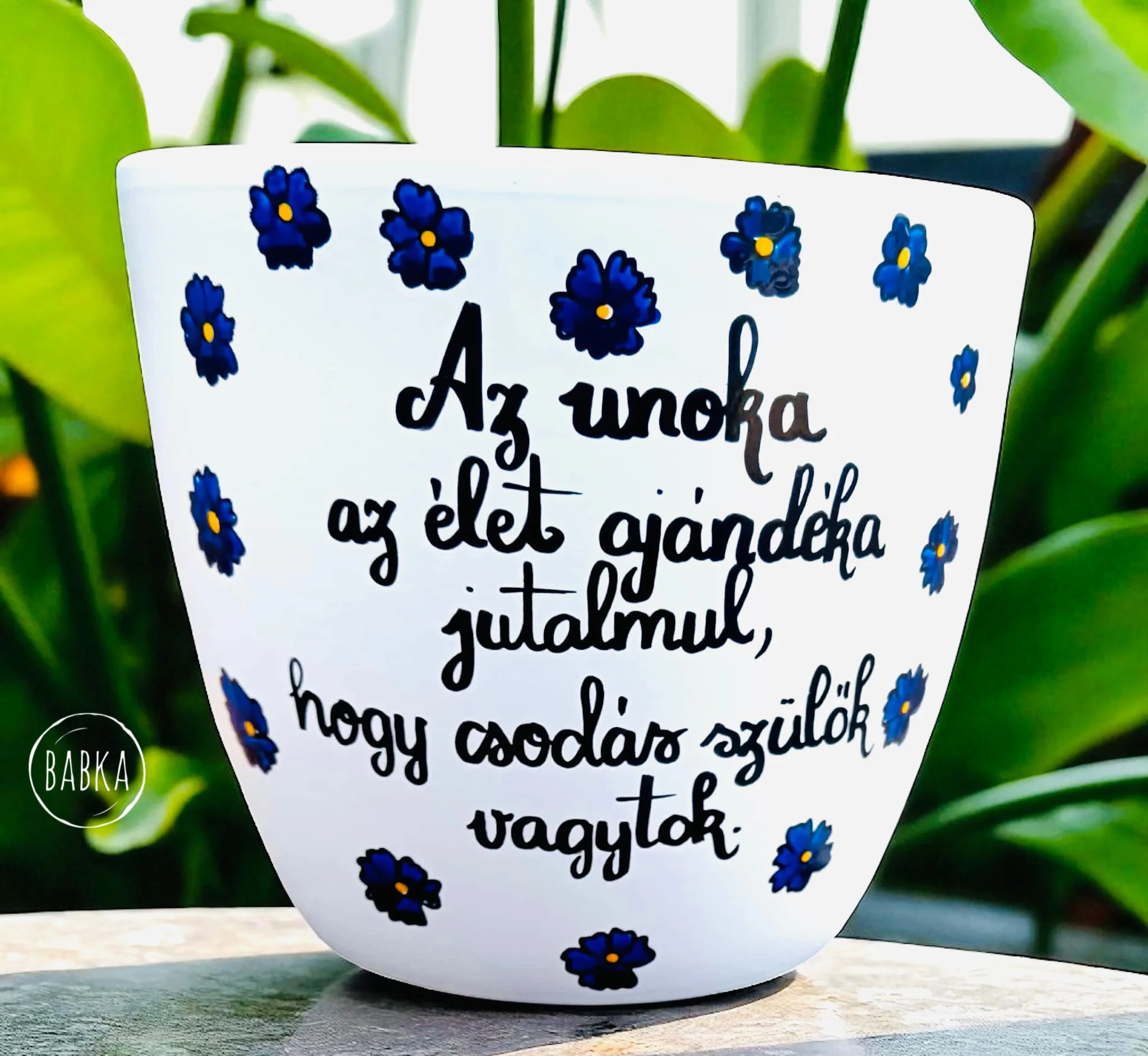Nagyi kaspó