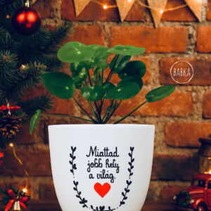 Miattad jobb hely a világ (kaspó)