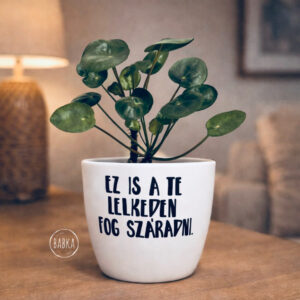 Ez is a te lelkeden fog száradni (kaspó)