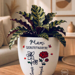 Mami szeretetkertje kaspó (a nevek választhatóak)