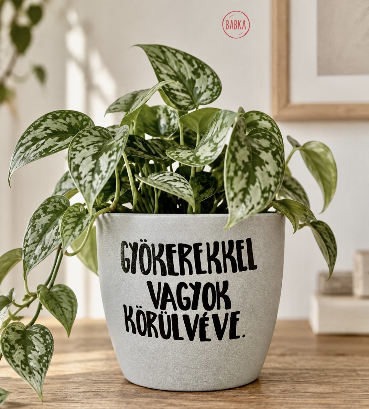 Gyökerekkel vagyok körülvéve (kaspó)