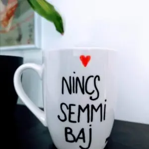 Fodor Ákos Bögre (3negatív szó)