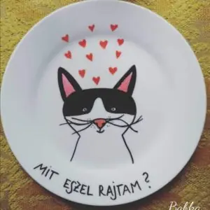 Cicaszerelem
