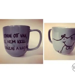 Nassoló viziló bögre