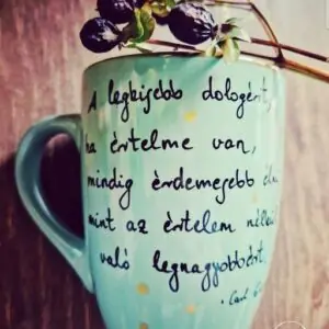 Gustav Jung bögre (4dl)
