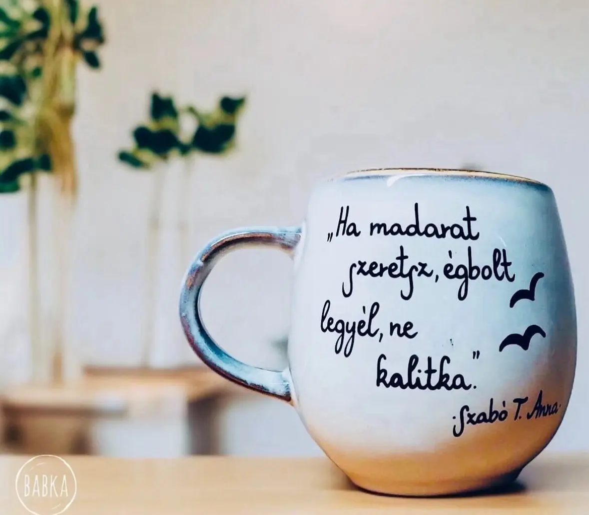 Szabó T. Anna bögre - Senki madara (4dl)