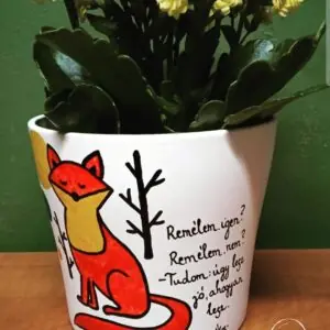 Kaspó  (Fodor Ákos-Kavics)