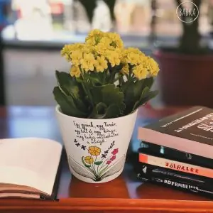 Tanár kaspó (Egy gyerek, egy tanár,egy toll és egy könyv, meg tudja változtatni a világot.)