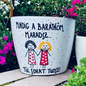 Barátság kaspó (Mindig a barátnőm maradsz, túl sokat tudsz!)