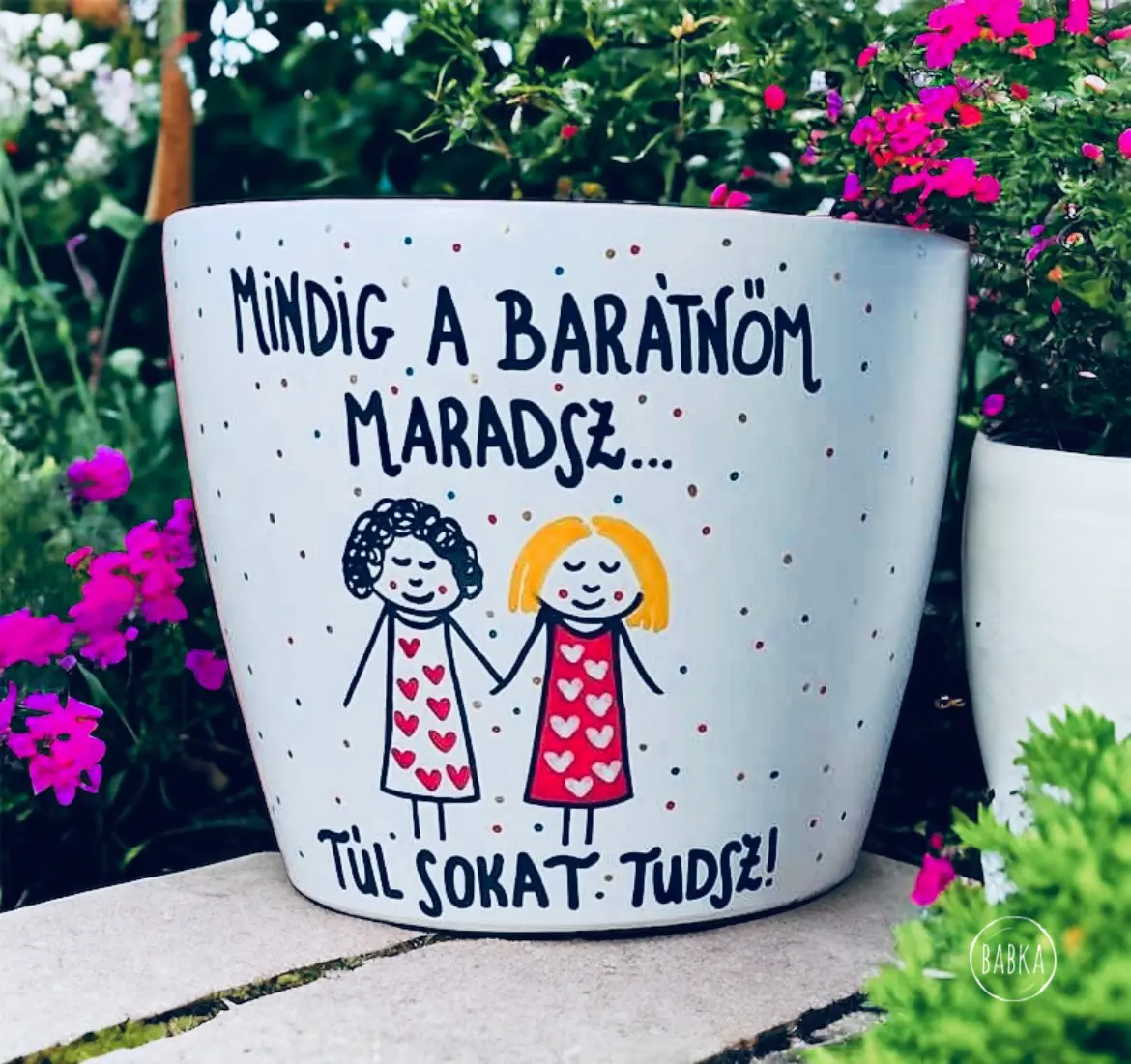 Barátság kaspó (Mindig a barátnőm maradsz, túl sokat tudsz!)