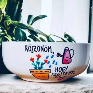 Anyák napi müzlis tál (Köszönöm, hogy segítettél felnőni.)