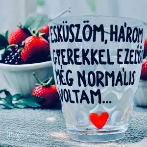 Szörpös pohár (4dl) (a gyerekek száma módosítható)