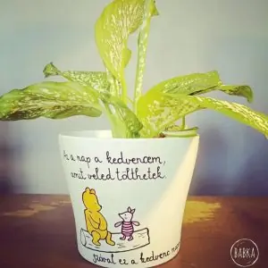 Micimackó (barátság) kaspó