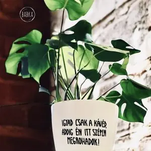 Igyad csak a kávéd! (kaspó)