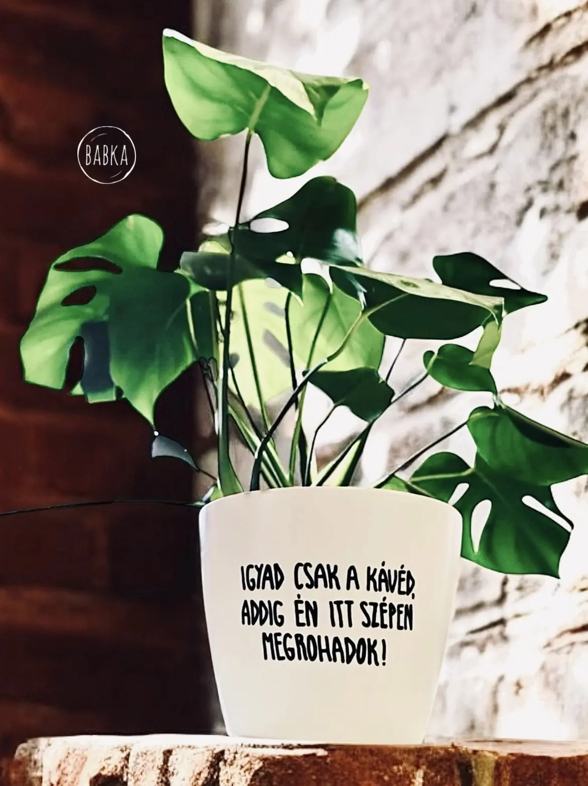 Igyad csak a kávéd! (kaspó)