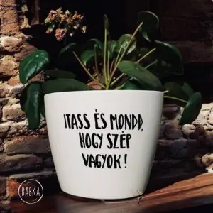 Itass és mondd, hogy szép vagyok! kaspó