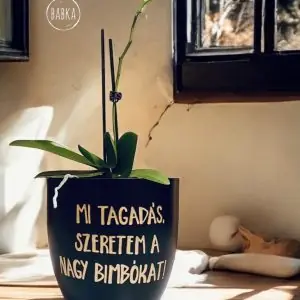 Szeretem a nagy bimbókat! (kaspó)