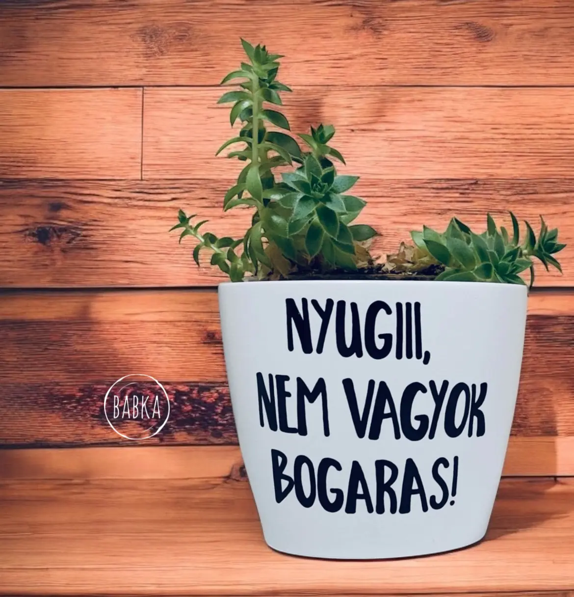 Nem vagyok bogaras! (kaspó)