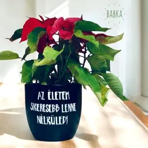 Az életem sikeresebb lenne nélküled! (kaspó)