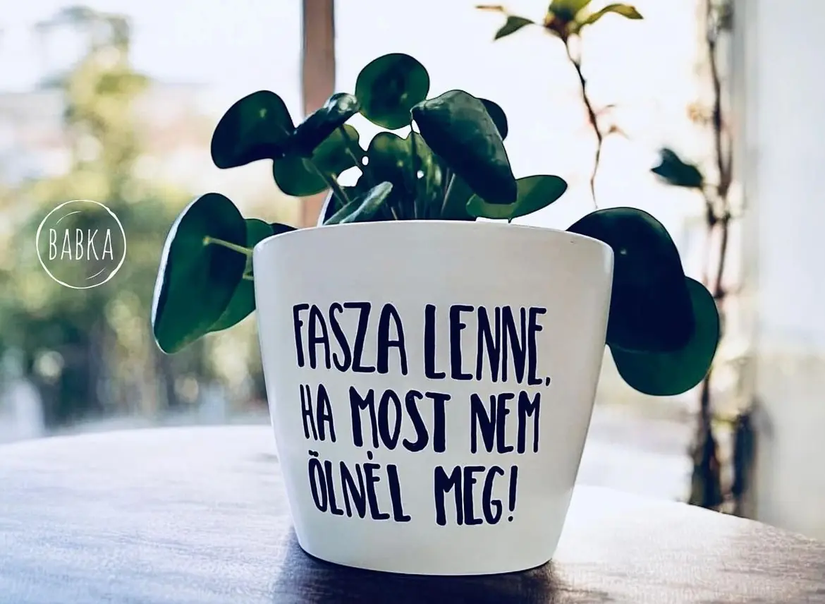 Fasza lenne, ha most nem ölnél meg! (kaspó)