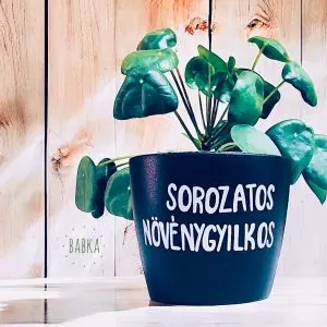 Sorozatos növénygyilkos (kaspó)