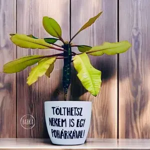 Tölthetsz nekem is! (kaspó)