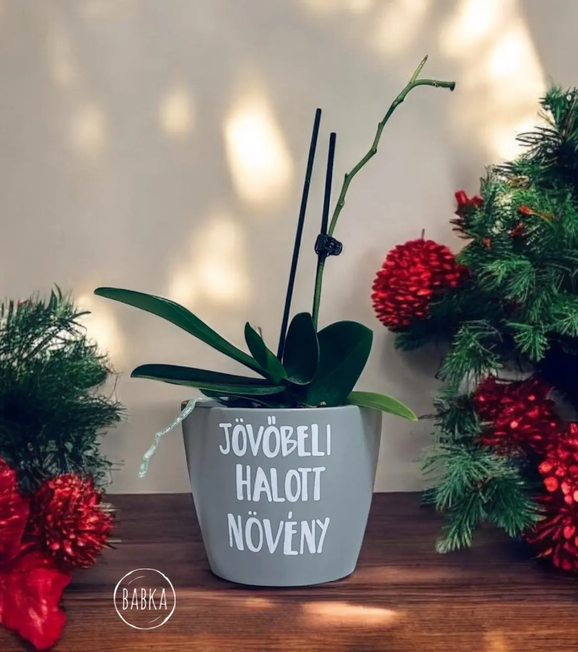 Jövőbeli halott növény (szürke-limitált) (kaspó)