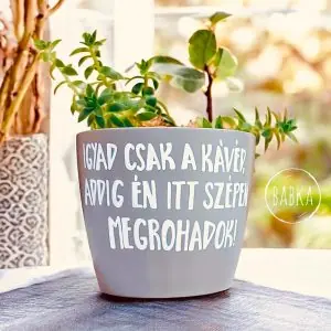 Igyad csak a kávéd! (kaspó)