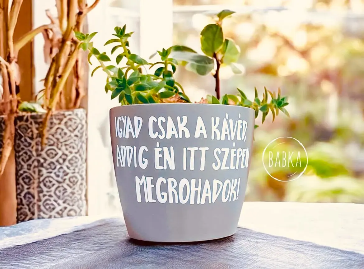 Igyad csak a kávéd! (kaspó)