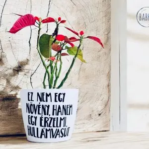 Érzelmi hullámvasút (kaspó)