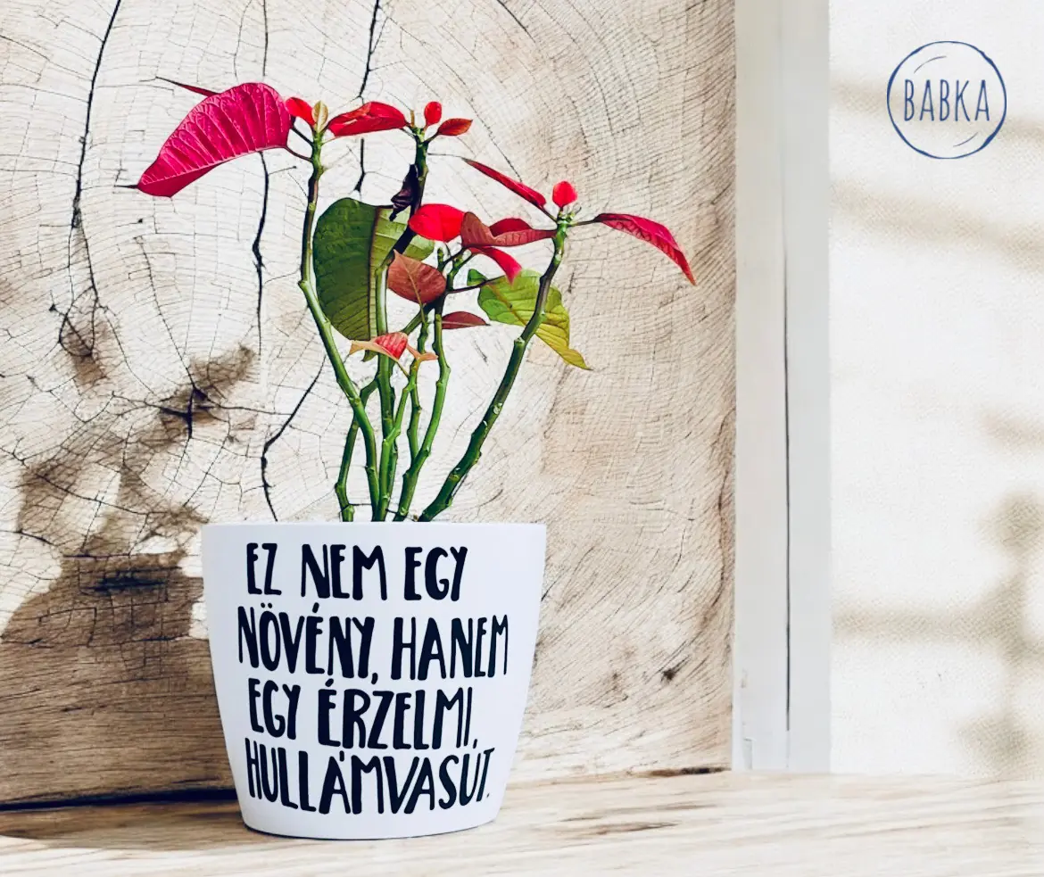 Érzelmi hullámvasút (kaspó)