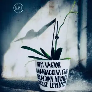 Nem vagyok elhanyagolva (kaspó)