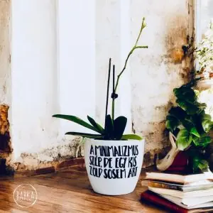 Minimalizmus (kaspó)