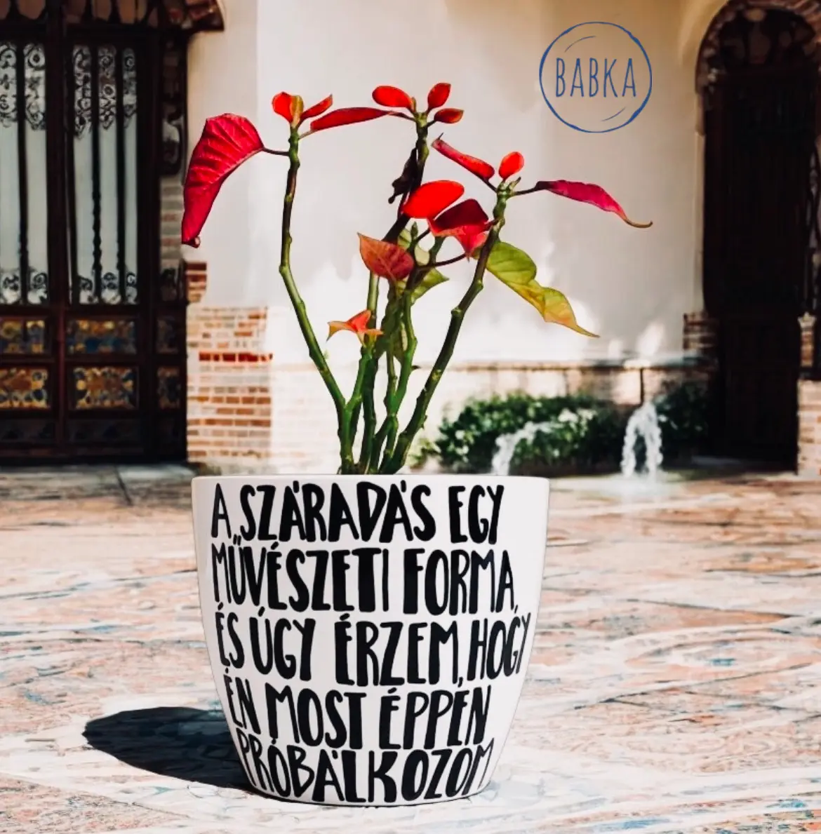 A száradás egy művészeti forma (kaspó)