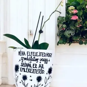 Csodálatos vagy!  (kaspó)