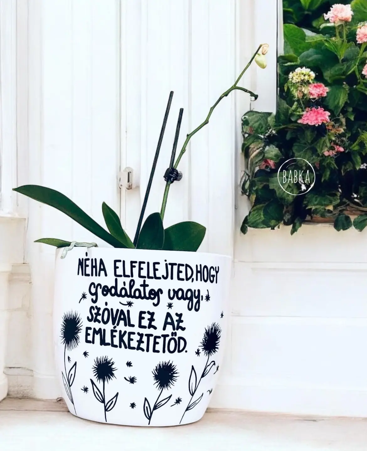 Csodálatos vagy!  (kaspó)