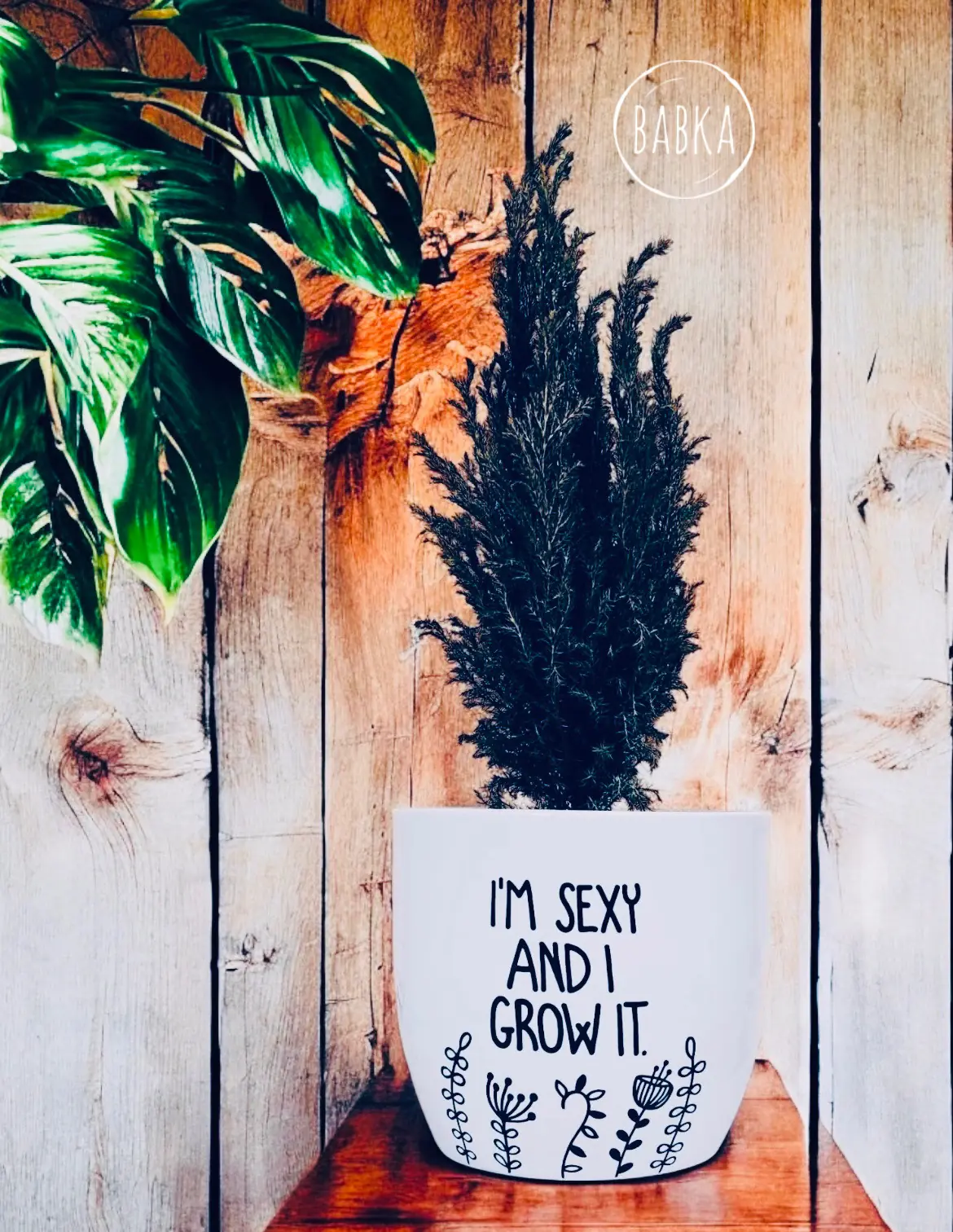 I'm sexy and I grow it (kaspó)