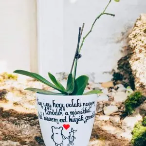 Micimackó (szeretet) kaspó