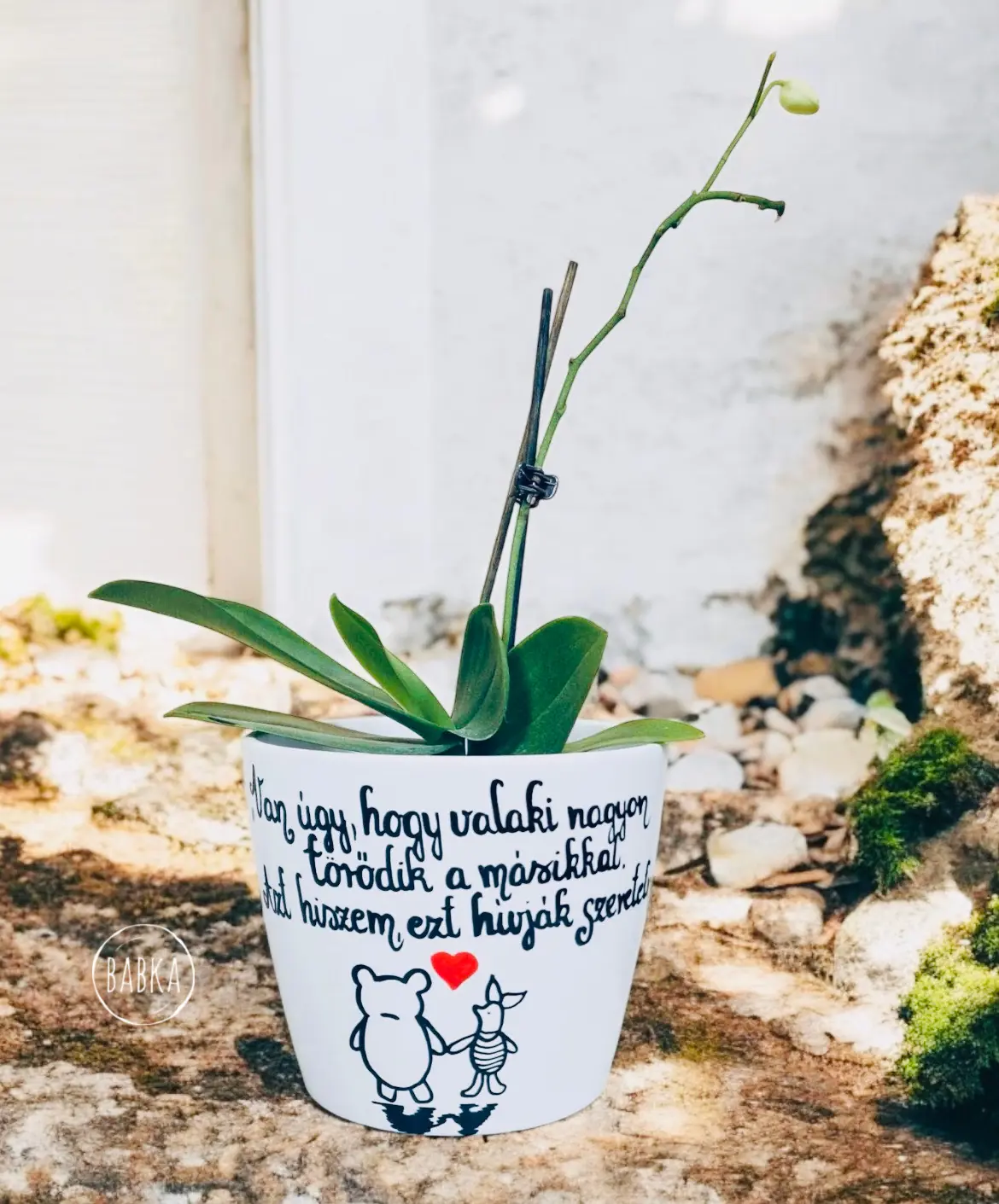 Micimackó (szeretet) kaspó