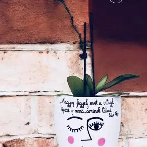 "Nagyon figyelj!" (kaspó)