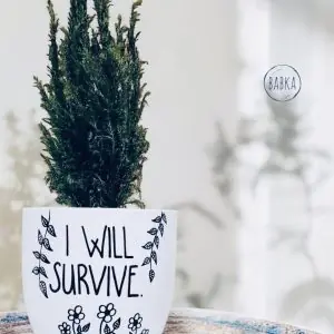 I will survive (kaspó)