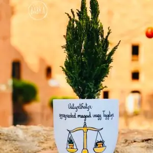 "Választhatsz" (kaspó)