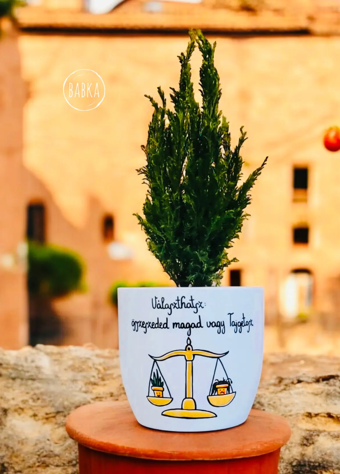 "Választhatsz" (kaspó)