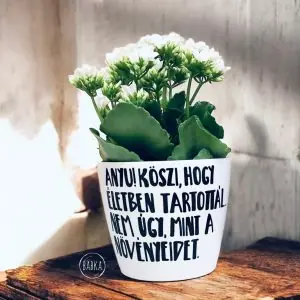 Köszi Anyu! (kaspó)