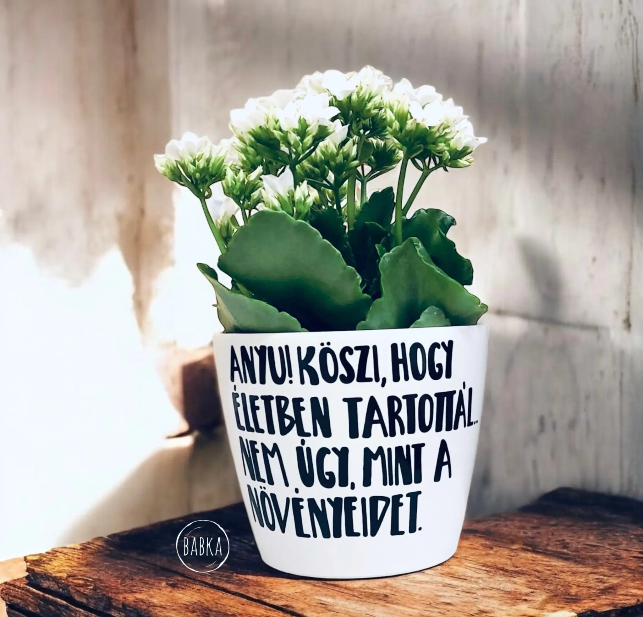 Köszi Anyu! (kaspó)