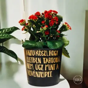 Köszi, Anyu! (kaspó) (fekete)