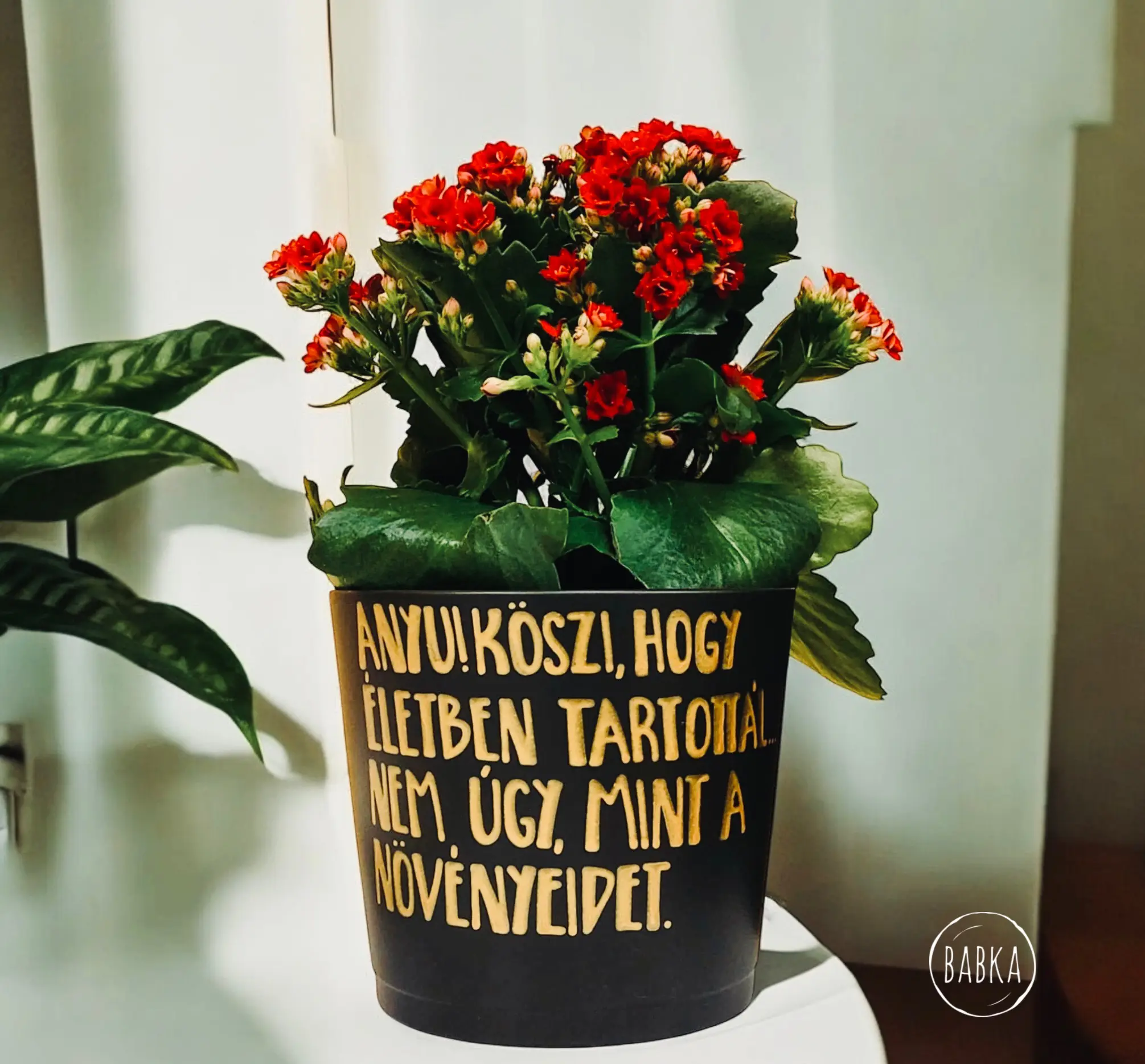 Köszi, Anyu! (kaspó) (fekete)